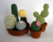 Realistic crocheted cacti and succulents - individual plants in small pots