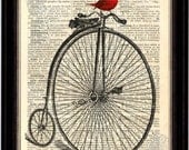 Penny Farthing Bicycle with colourful Red Bird Print on Upcycled 1896 Latin English Dictionary Page mixed media  digital
