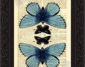 Stunning Blue 4 Moth Print on upcycled Dictionary Vintage Page mixed media digital illustration