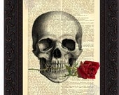 Skull with Rose In Teeth Print Mixed Media Digital on repurposed French English Dictionary Page