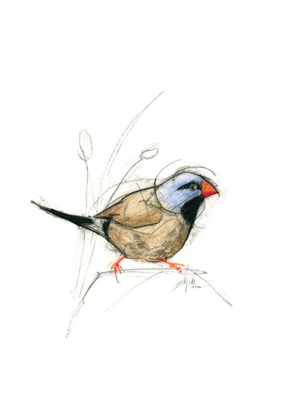 Australian Bird Print A5 Masked Finch