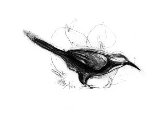 Australian Bird Print A5 Grey Crowned Babbler