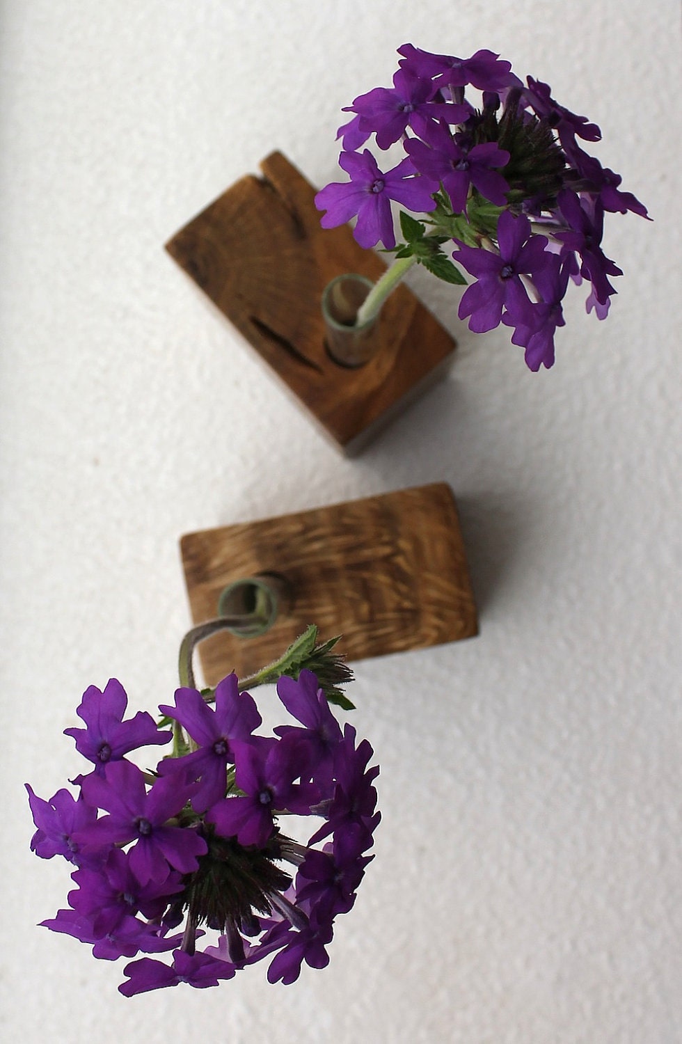 Flower vases - Locally Salvaged Garry Oak Bud Vases (pair) - Eco Friendly
