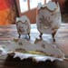 Retro Gold Rose Floral Design Made in France Hand Painted s/3