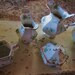 Wash Set W.H. Grindley & Co Semi Porcelain Wash Set, Late 19th Century Blue/Green