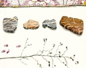 Still Life  Art Print of Original Acrylic Painting -- Bits Collected 1