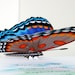 3D Pop up Blue Butterfly Card Choose Any occasion Select card size