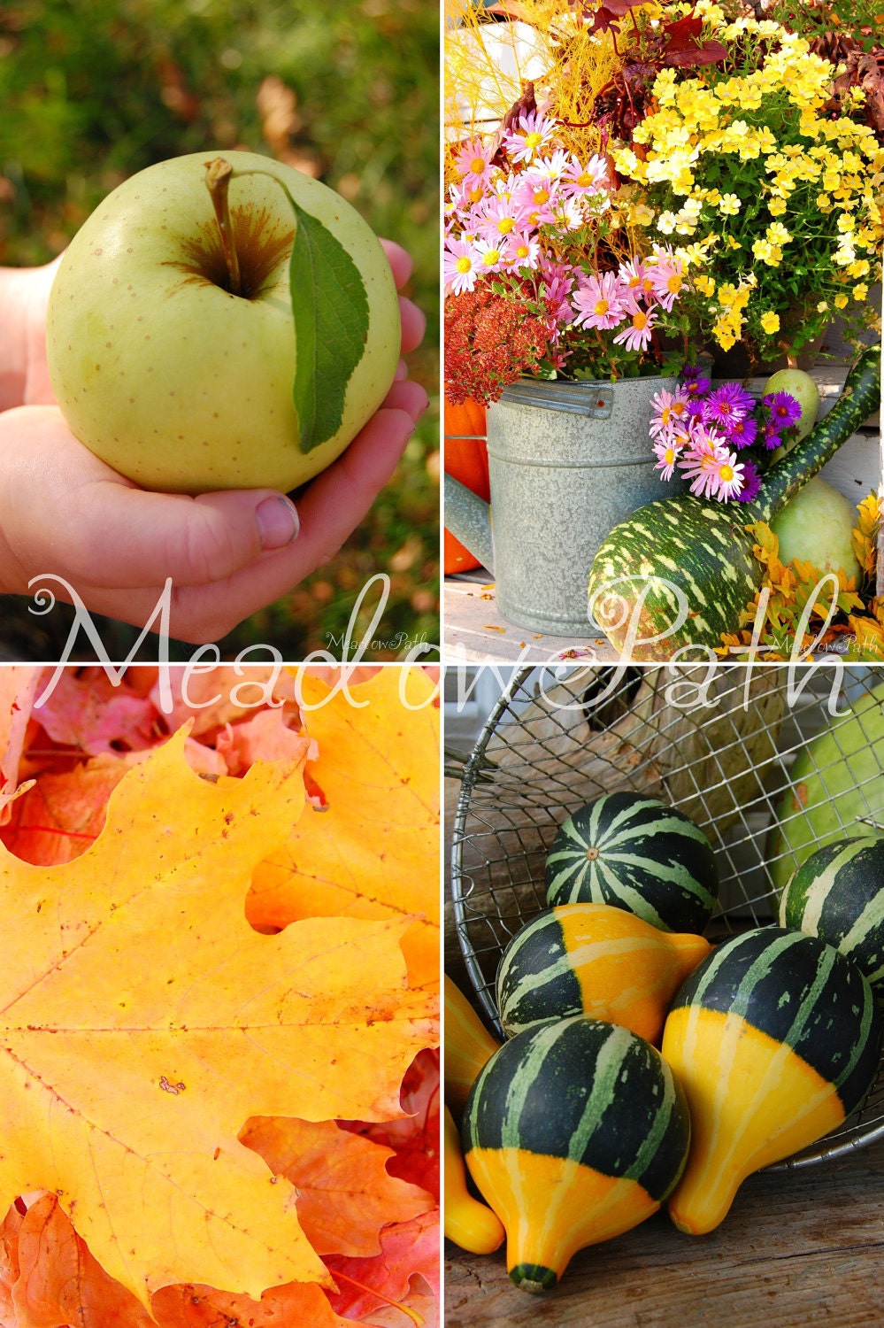 Photo Note Cards, Fall, Autumn, Flowers, Leaves, Apple, Gourd, Set of 4, 'Autumn's Faces'
