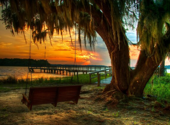 Georgia Landscape- Ocean Photography Seascape- Wall Art- Room Decor- Savannah Georgia Art Print- Sunset Art Print- "Savannah Breeze"