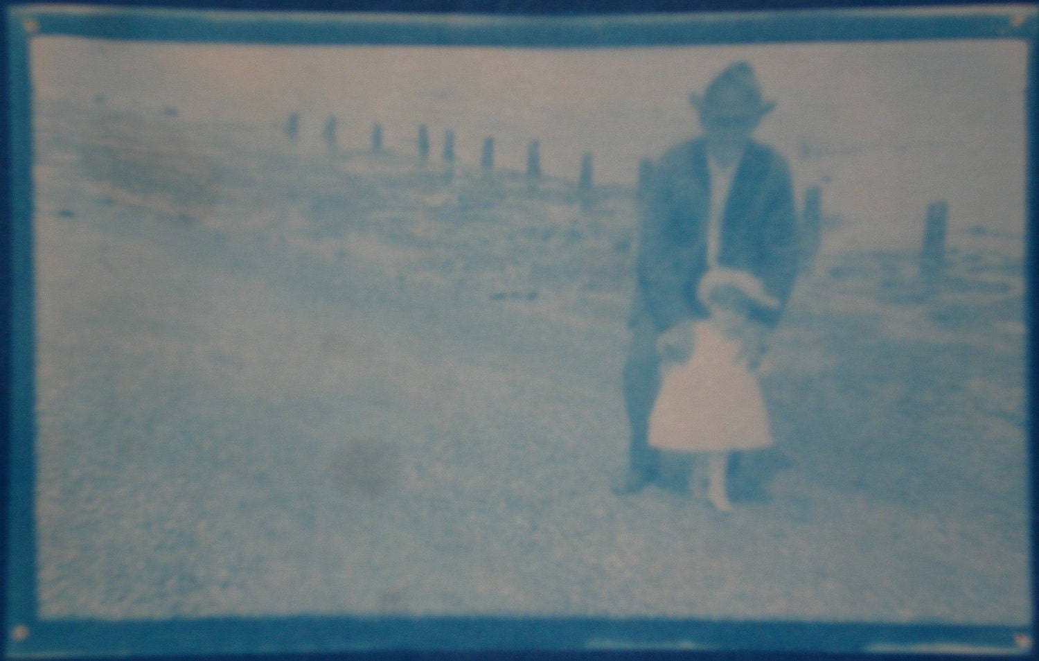 Cyanotype Photograph from Vintage Negative