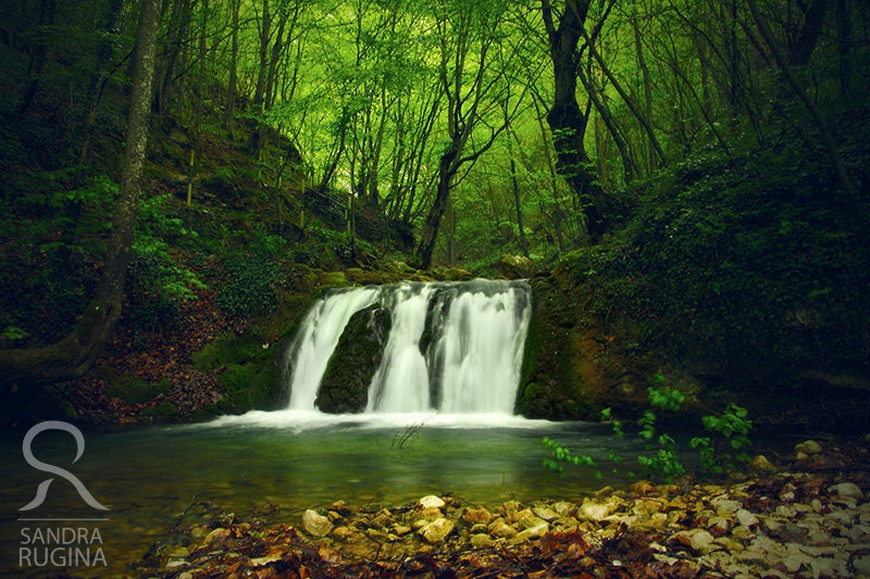 River in a forest, nature photography, 6x8in high quality print, waterfall