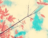 Fall photography, love photography, photography,  turquoise, sky clouds, leafs leaves, pink red, orange vintage, surreal