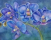 Blue Orchid Flower, Matted Limited Edition Giclee Print