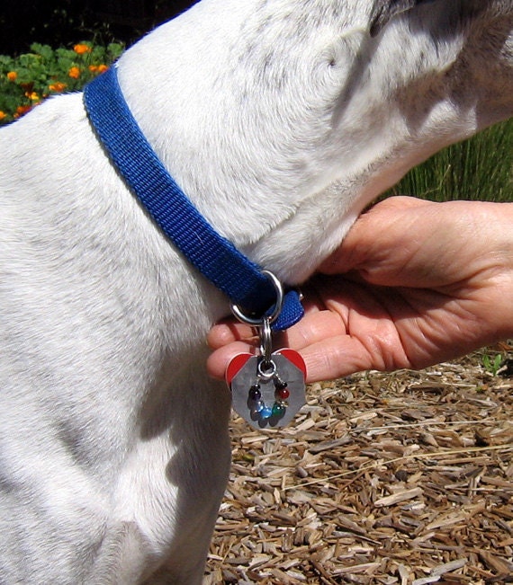 Harmonizing Gems For Our Animal Friends