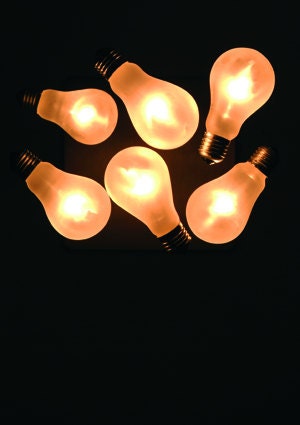 Suspension - Modern Lighting Fixture - La Paz Ceiling Lamp 6