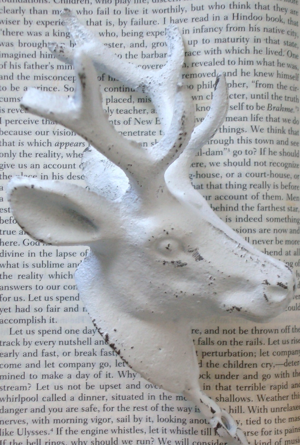 antlers - wall hooks - faux taxidermy