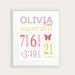 Personalized Girl's Nursery Birth Print, Butterfly, Pink Green Lavender, You Pick Color & Birth Details, Nursery Decor, Baby Gift