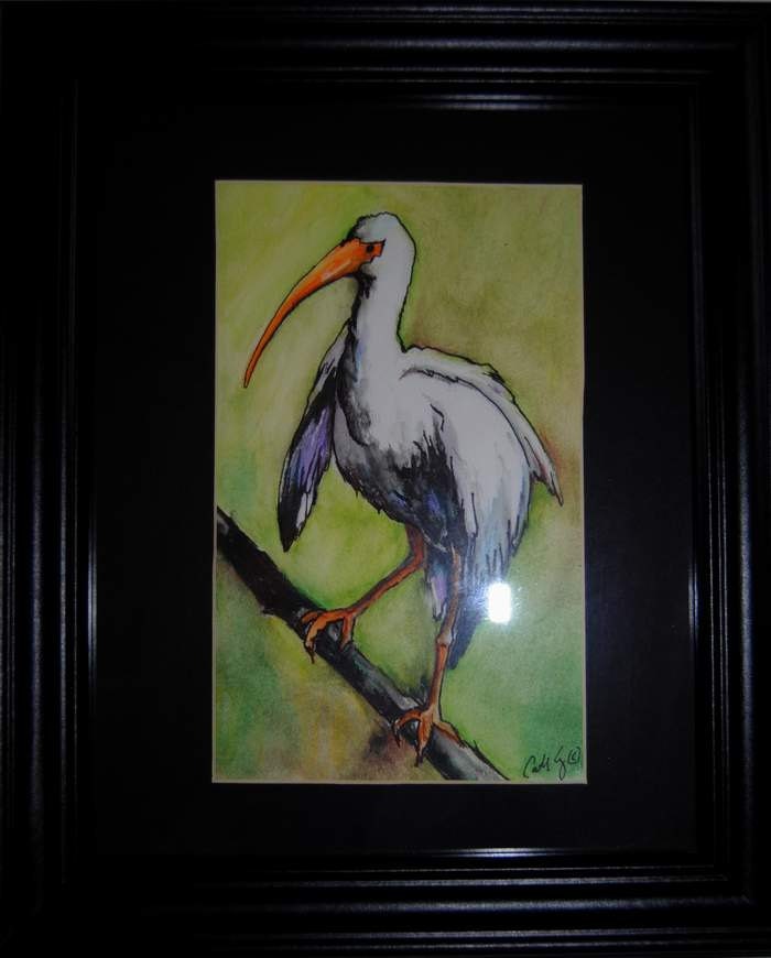 White Ibis, white water bird, original watercolor, Florida shore birds