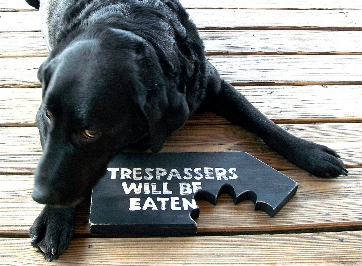 Man Cave, Garden, Sign, Trespassers Will Be Eaten, Beware of Dog, Made to Order