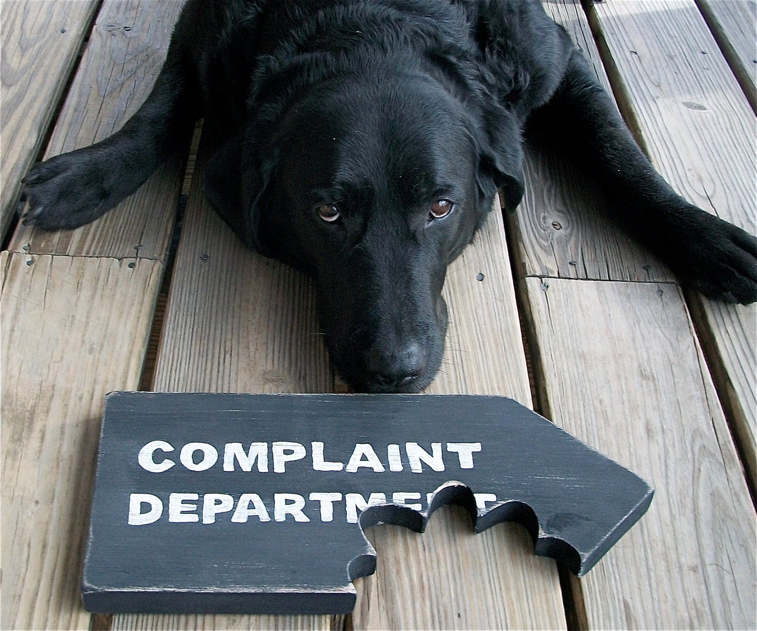 Funny Sign, Complaint Department, Beware of Dog, Chomp, Bite, Primitive, Rustic, Black and White