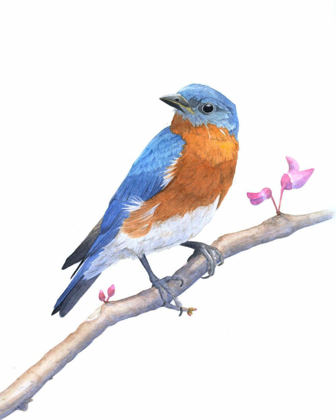 Bluebird of Happiness, 5 x 7 Gicleé Print of Original Watercolor by Lore Ruttan