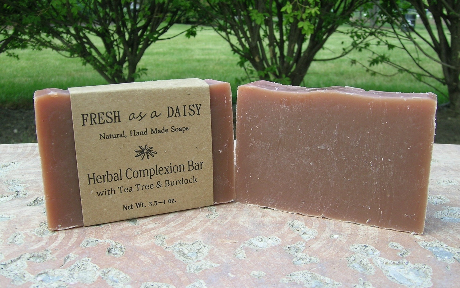 Herbal Complexion Bar with Tea Tree & Burdock, Natural Handmade