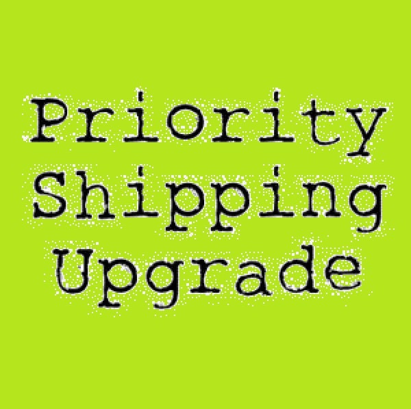 Priority Shipping ADD-ON Il_570xn