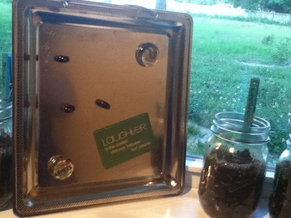 Silver Style Magnetic Tray for Notes, Pictures, Ideas, or Decor. Il_570xn