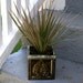 Vintage Hull Pottery Square Planter Green Leaf Design and Drip Edge