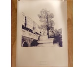 Chicago Purple Line PRINT