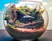 Baby Dinosaur - Mini Zen Garden - Terrarium / Diorama