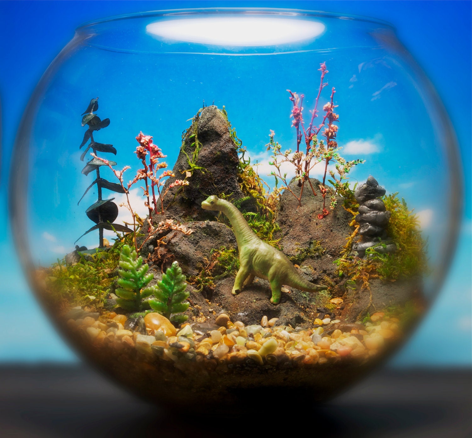 Baby Dinosaur - Miniature Zen Garden - Terrarium / Diorama