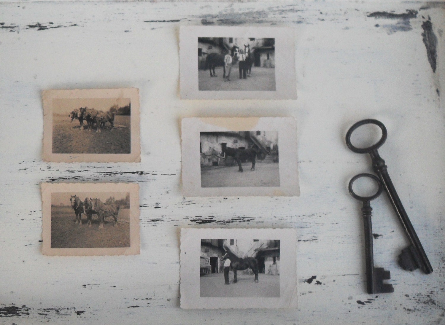 Vintage photos - collection of five