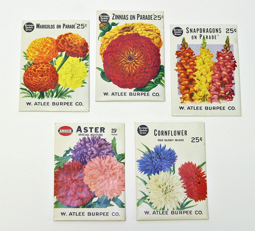 burpee seed packets
