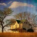 Landscape Photography, Golden Field, Abandoned House, Winterscape, Texture  8"x12" Fine Art Print