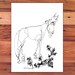 Blind Contour Horse III - Original Ink Drawing