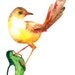 Yellow Bird Watercolor Illustration Print Feather Yellow Brown Green Leaf Nature