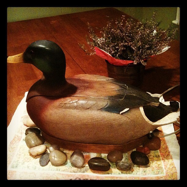 Mallard Phone