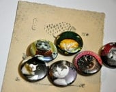 kitty in sweater, pin button set of 6.