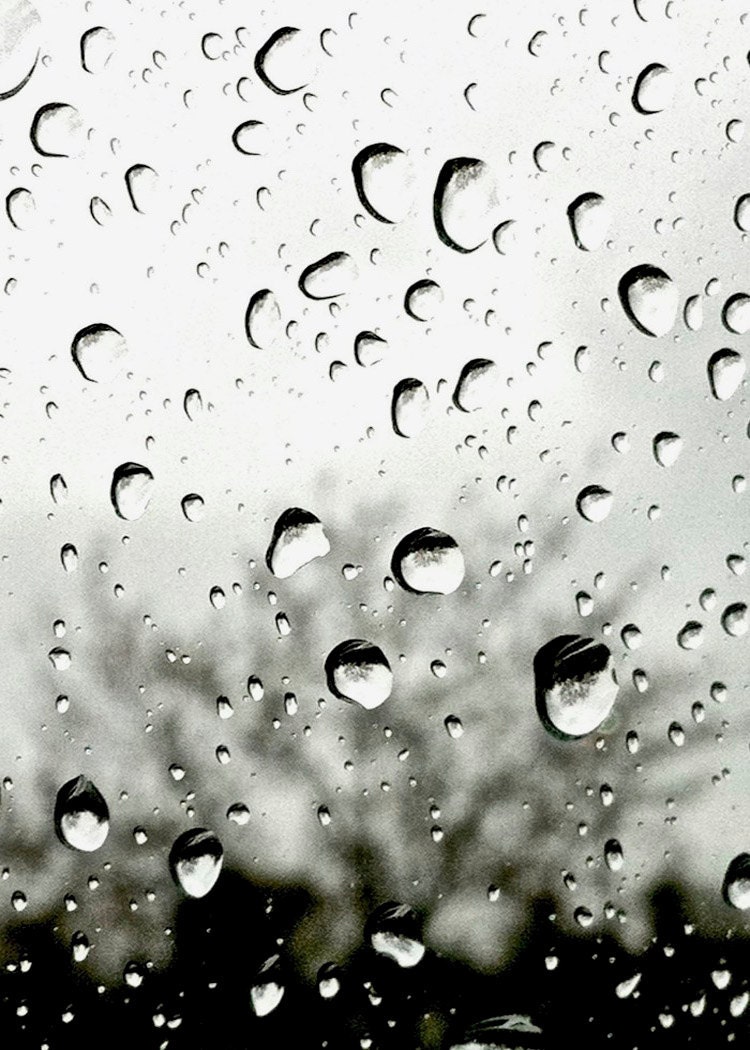 ACEO Raindrops Black and White Photography Print - LTphotographs
