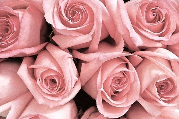 Flower Photography Pink Roses Bouquet Flower Romance Dreamy Shabby Chic Vintage 4x6 Photography Greeting Card Notecard