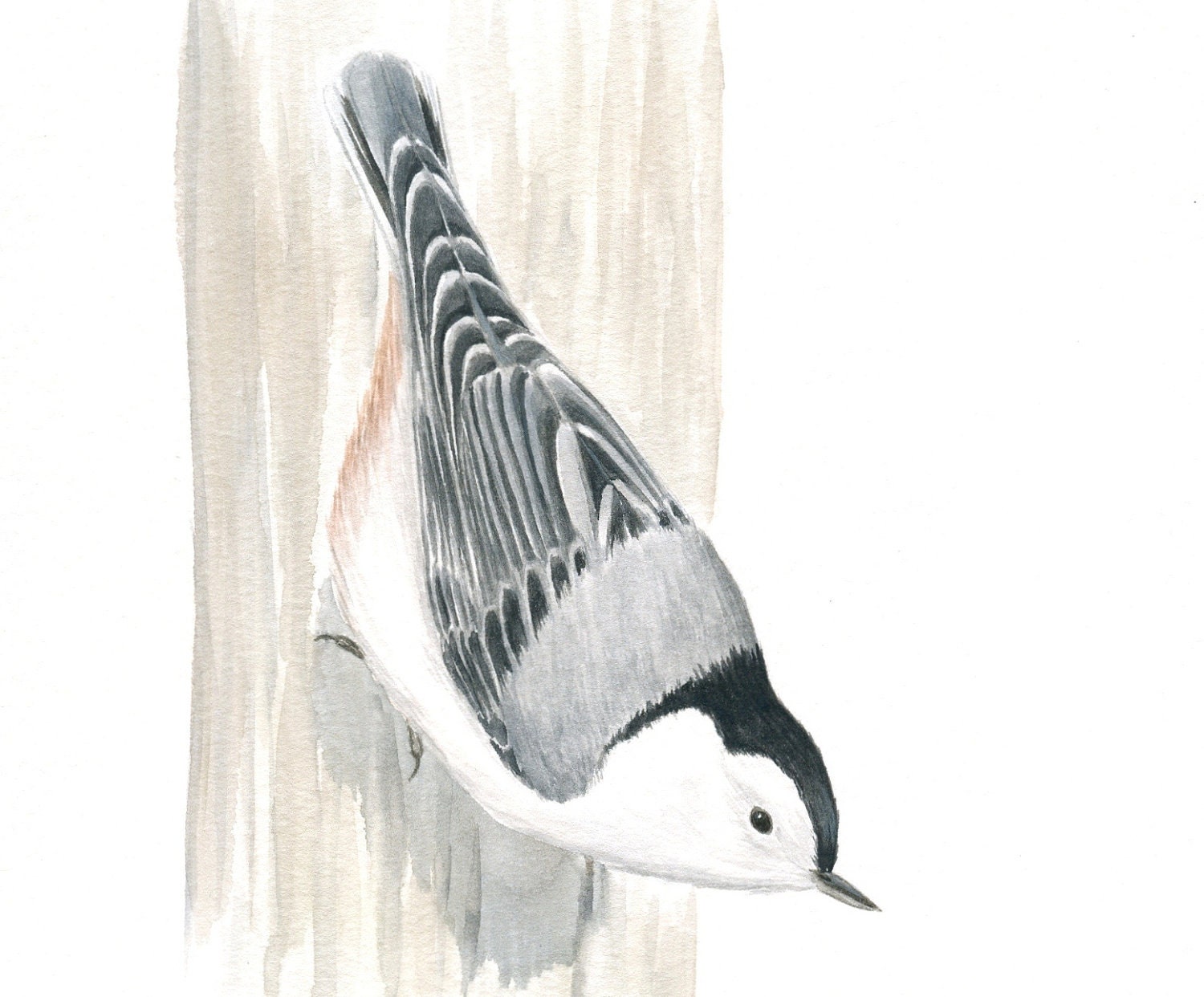 Original Bird Art, Songbird Painting, White-breasted Nuthatch, Gray Bird Art, Grey Nature Painting, Watercolor and Gouache 10" X 8"