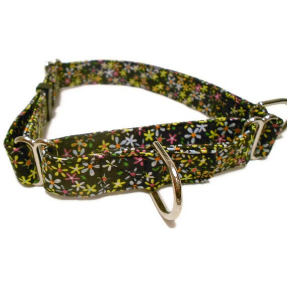 Dog Collar Black with Colored Flowers - Adjustable MARTINGALE - Medium Size - 3/4"