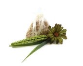 Cucumber Mint  Corn Cob Cellulose Fiber Aroma Sachet