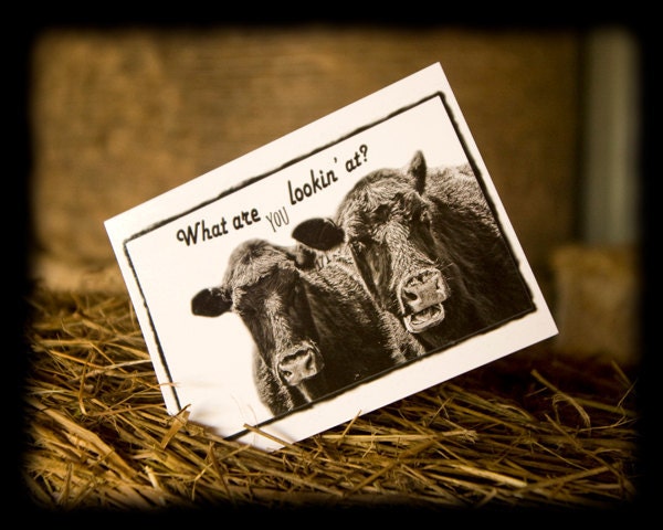 A Funny Pair of Cows in Black & White Post Card with Quote