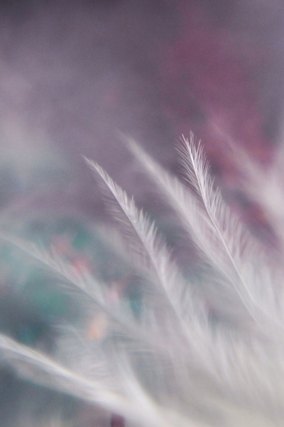 ready to ship breathe feather dreamy surreal ethereal fine art macro photograph pink blue purple white bokeh 5x7