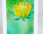 Orange, flower, cheerful, photographic greeting card, green background, handmade, blank, paper, vertical
