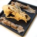 dog's wishes: taxidermy dog skull mount with wishbone
