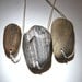 3 drilled striped sandstones, petrified wood, from the Alsea River, Oregon