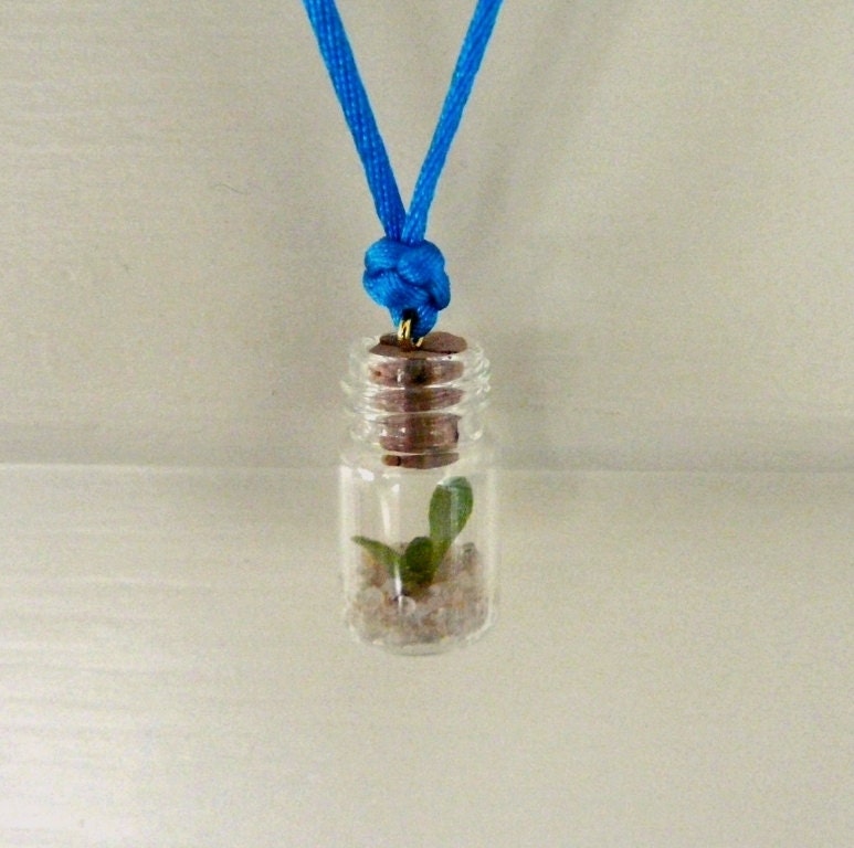 mini Wearable Jade Plant Necklace